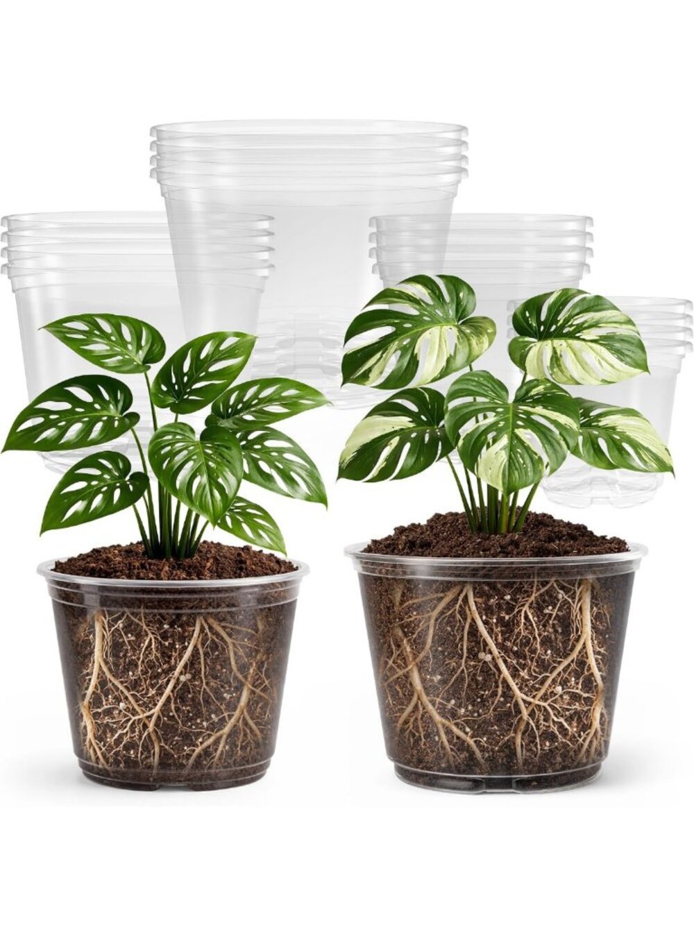 Clear Plant Nursery Pots with Drainage Holes, 5-10 Inch Sizes, 16-Pack for